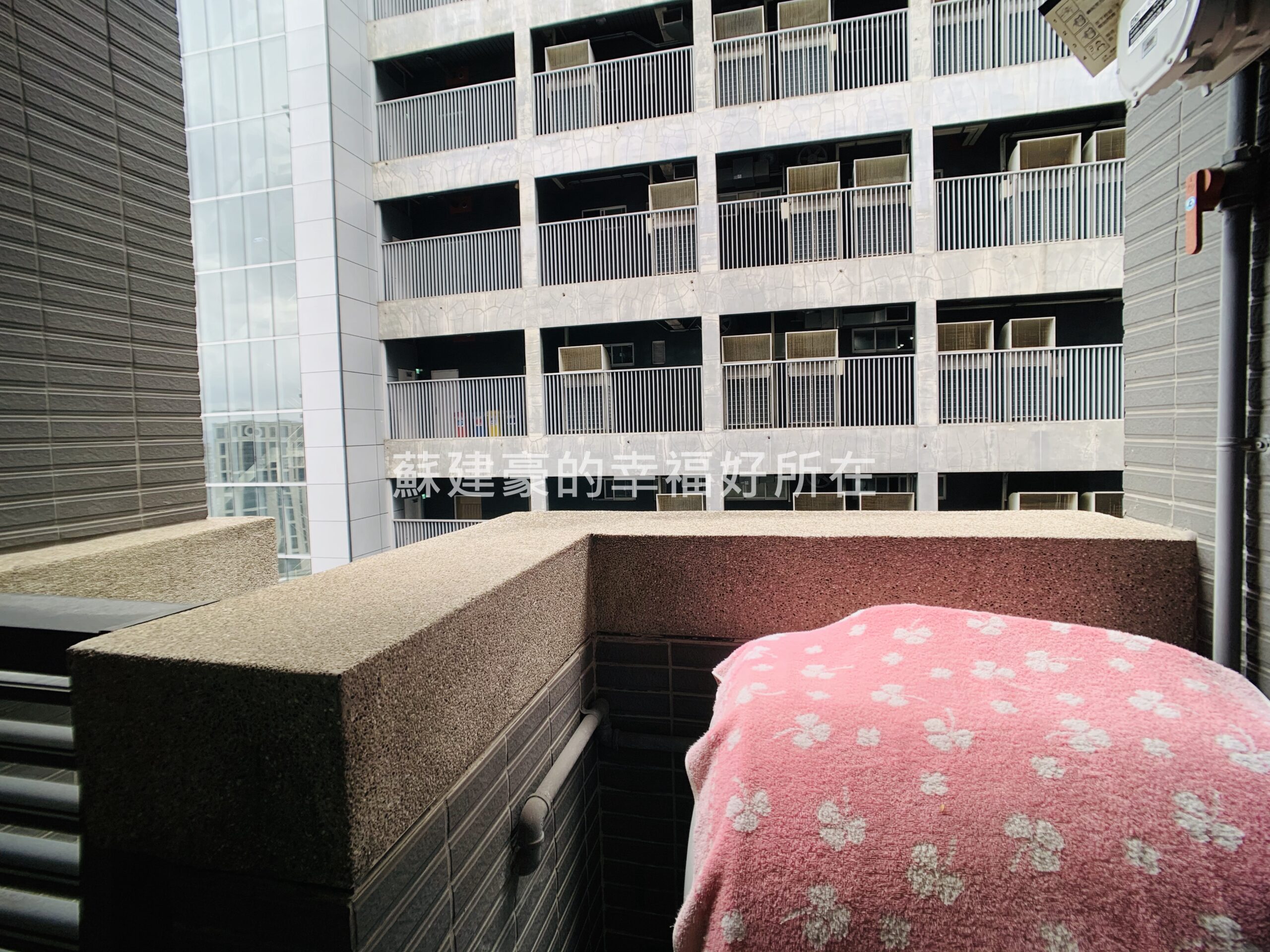 新板特區 新板特區超級f1小豪宅 蘇建豪的幸福好所在