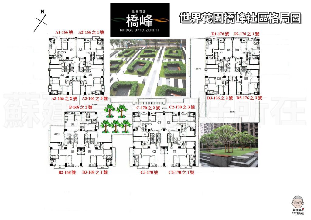 橋峰平面圖_世界花園橋峰_橋峰房仲_新板特區房仲_豪宅阿豪_新板特區_新板特區豪宅