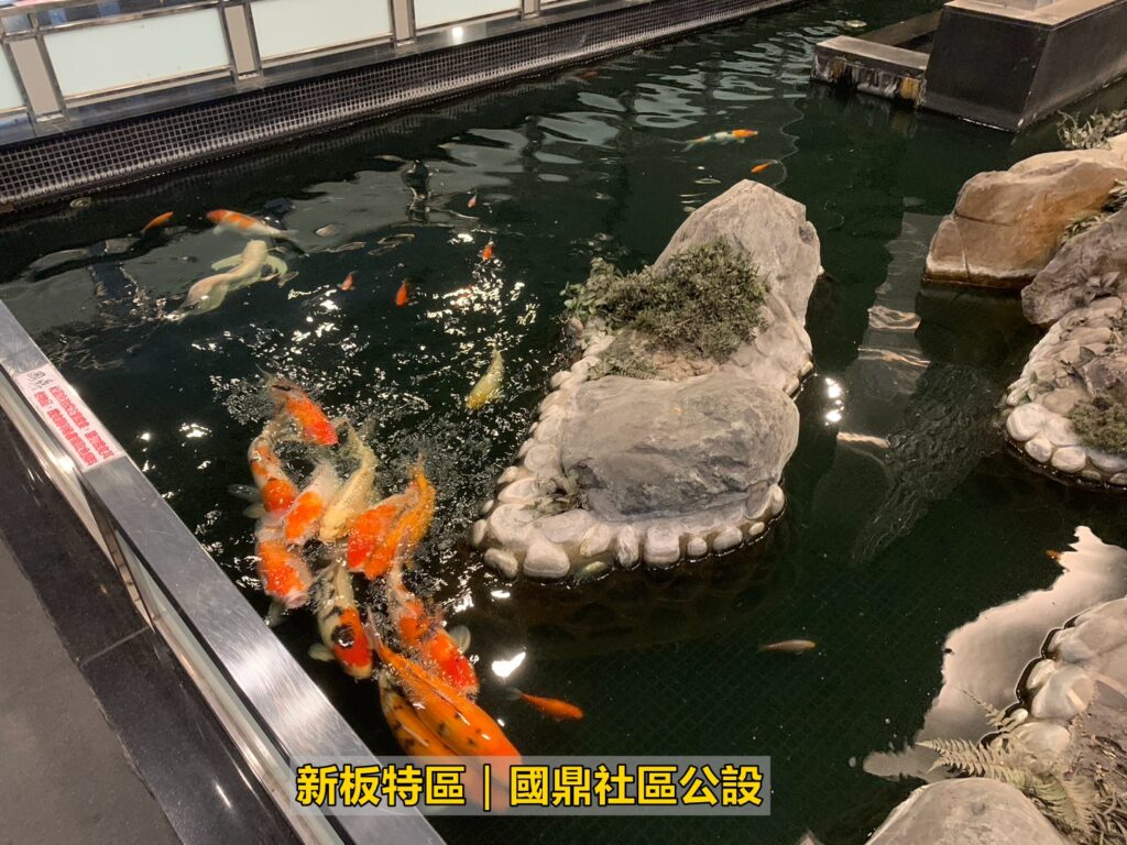 國鼎_公設_新板特區房仲_蘇建豪